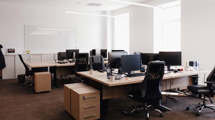 Workplace Culture